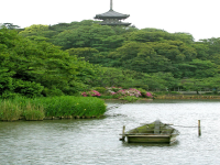 Shoreline of a Japanese garden